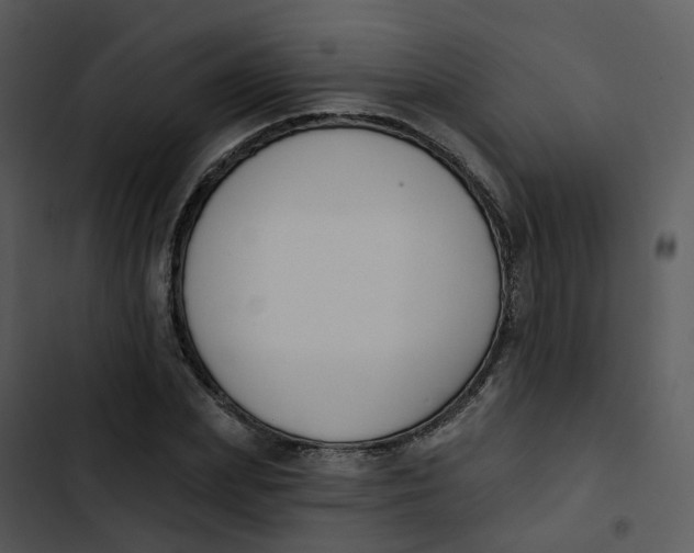 X0000102850831200809081241