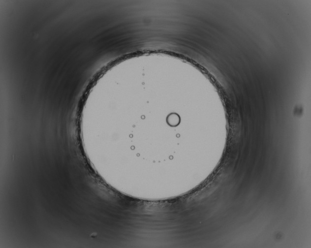 X0000102850832200809081241