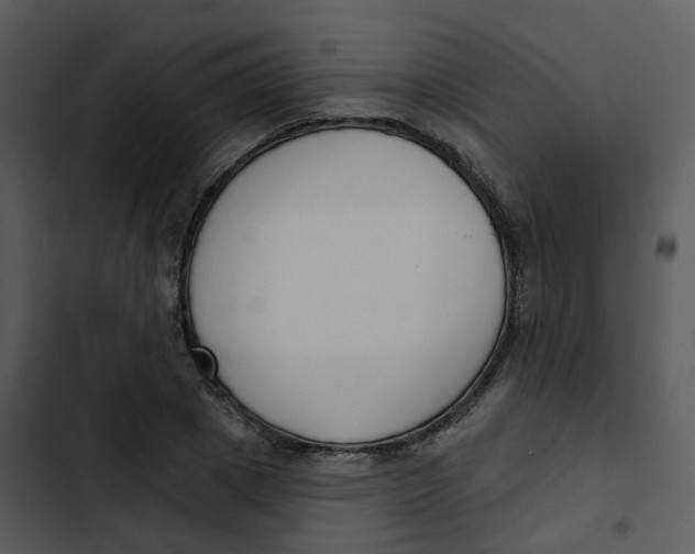 X0000102850833200809081241