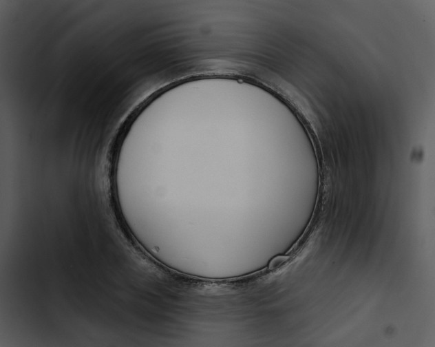 X0000102850835200809081241