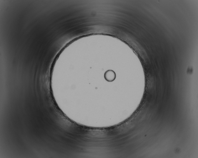 X0000102850836200809081241