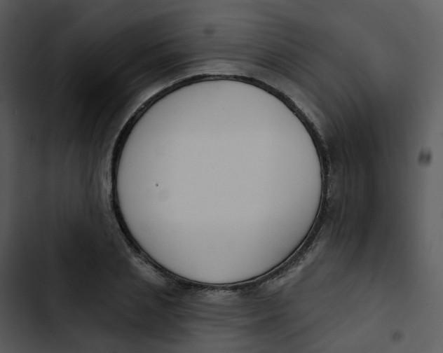 X0000102850837200809081241