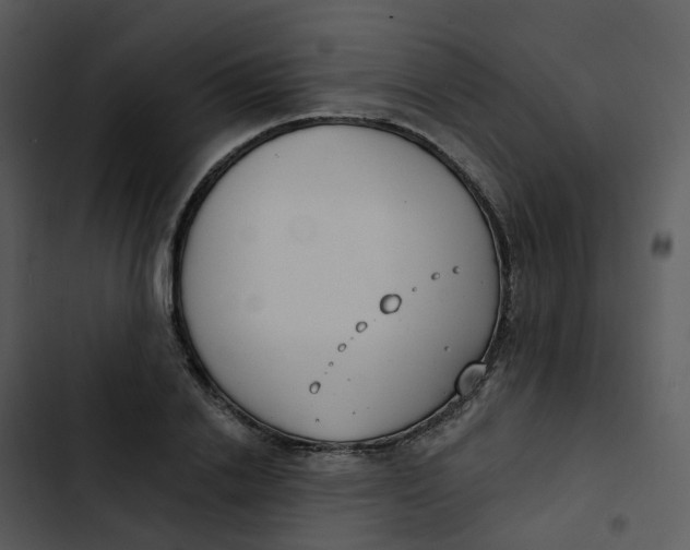 X0000102850838200809081241