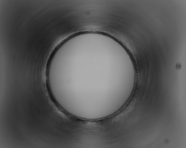 X0000102850839200809081241