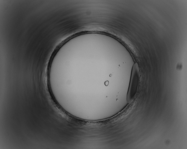 X0000102850840200809081241