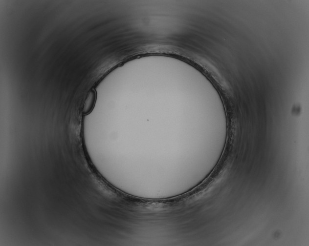 X0000102850841200809081241