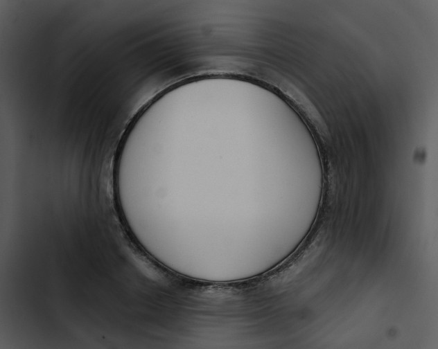 X0000102850842200809081241