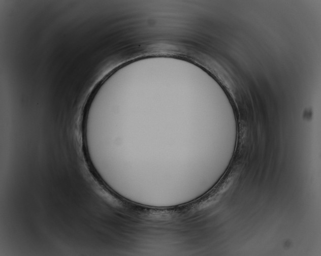 X0000102850843200809081241