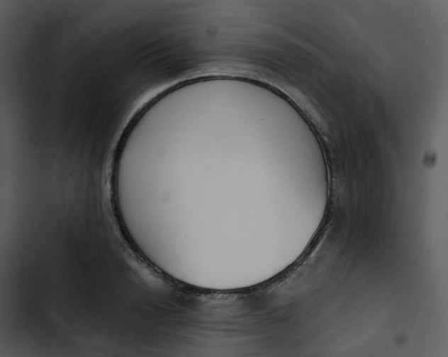 X0000102850846200809081242