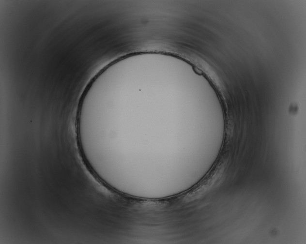 X0000102850847200809081242