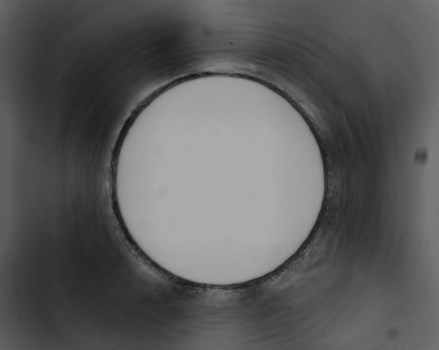 X0000102850848200809081242