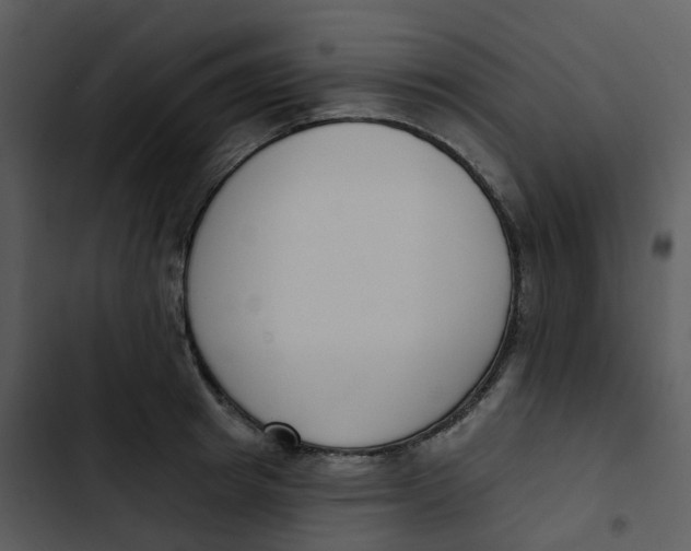 X0000102850849200809081242