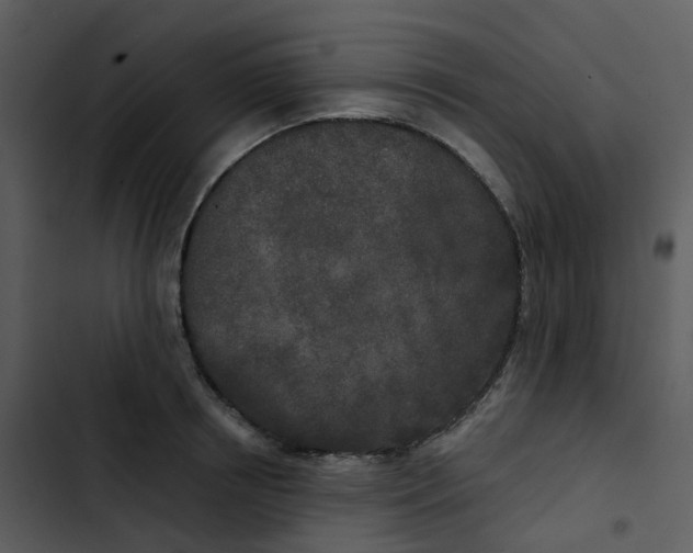 X0000102850850200809081242