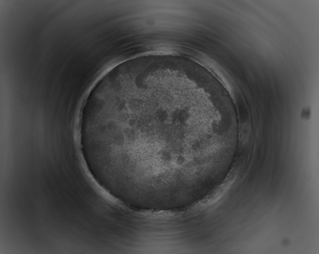 X0000102850851200809081242