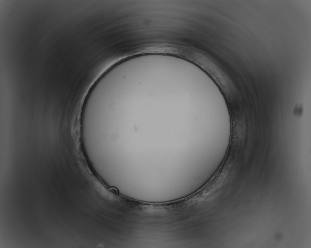 X0000102850852200809081242