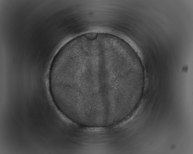 X0000102850853200809081242