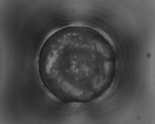 X0000102850854200809081242