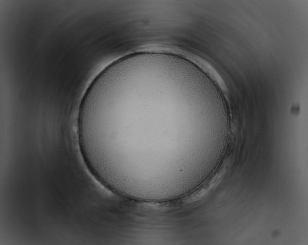 X0000102850855200809081242