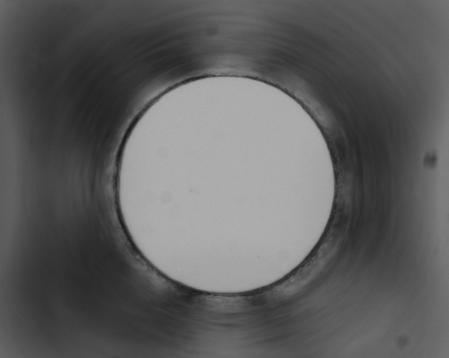 X0000102850856200809081242