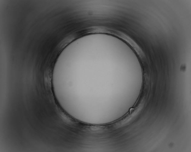 X0000102850857200809081242