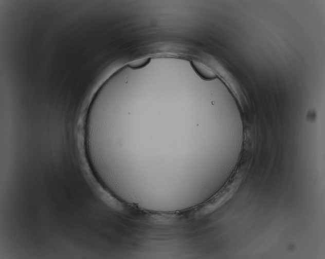 X0000102850859200809081242