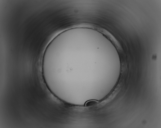 X0000102850860200809081242