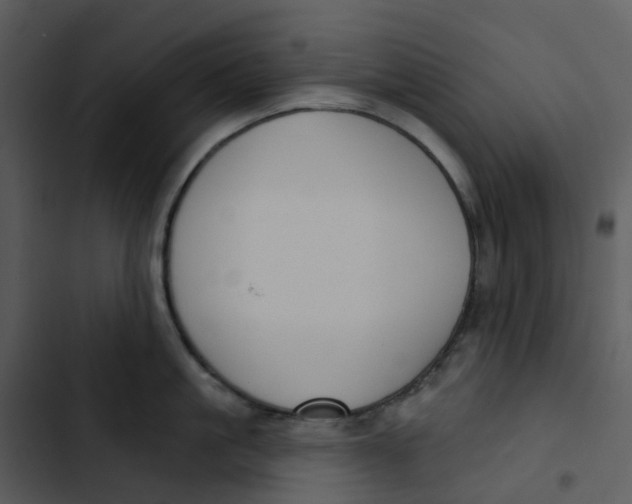 X0000102850861200809081242