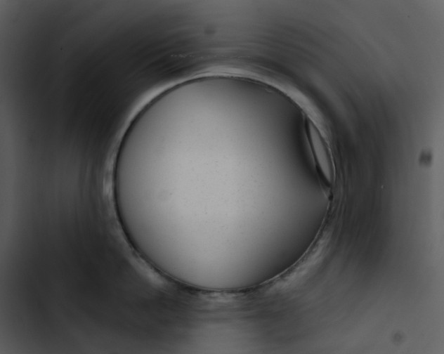 X0000102850862200809081242