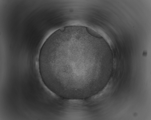 X0000102850863200809081242