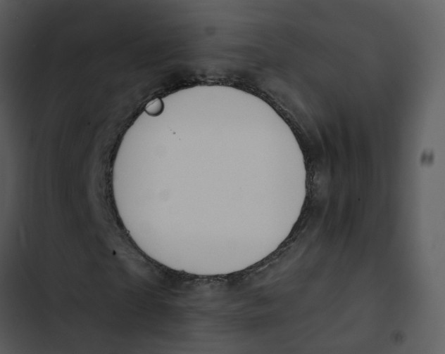 X0000102850865200809081241