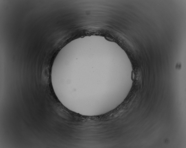 X0000102850868200809081241