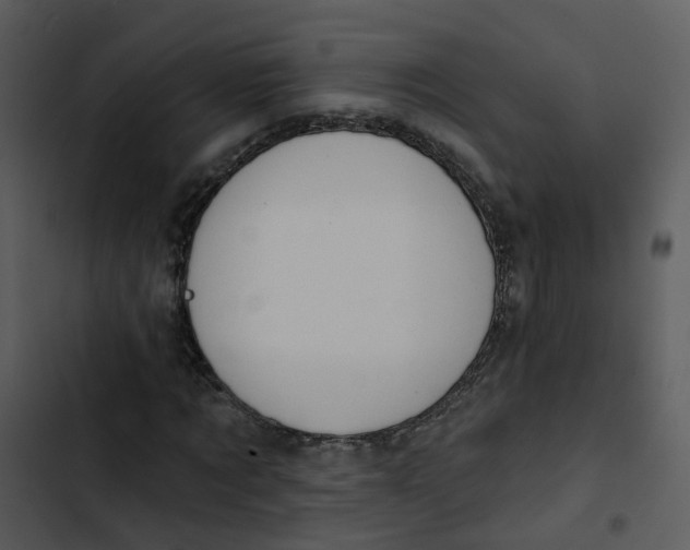 X0000102850869200809081241