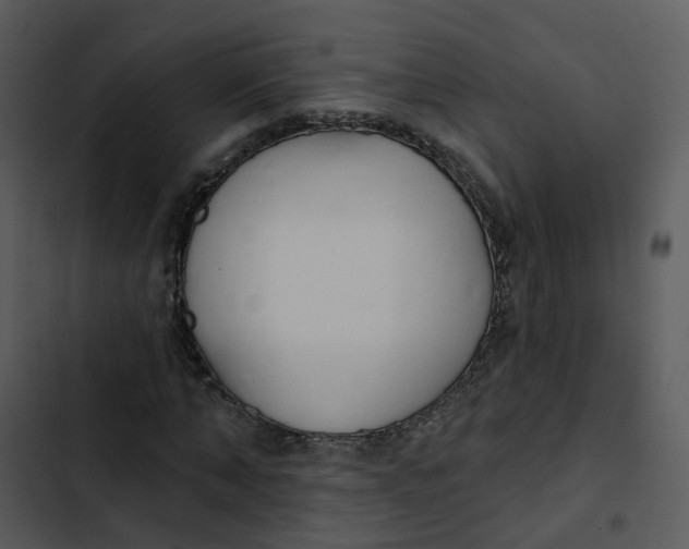 X0000102850870200809081241