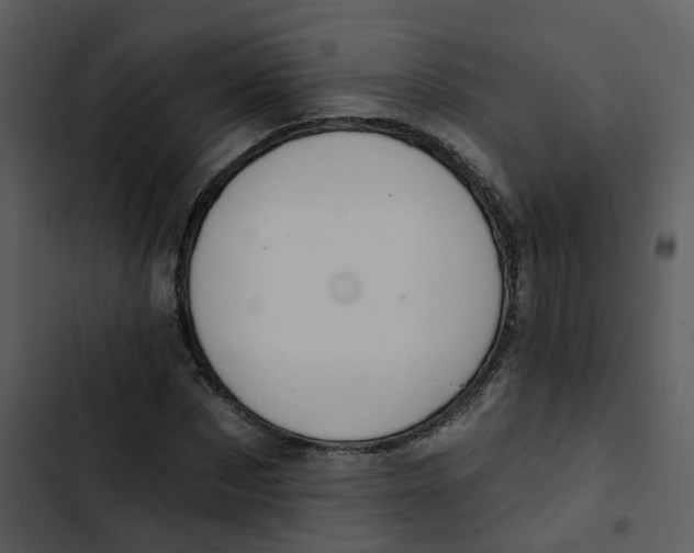 X0000102850873200809081241