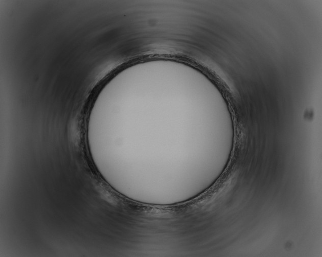 X0000102850874200809081241