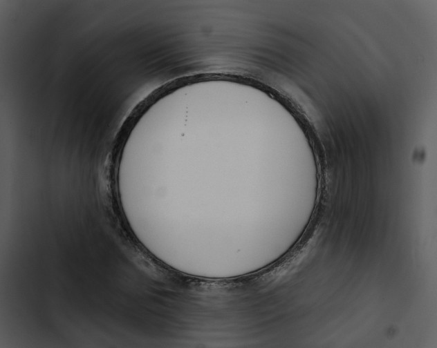 X0000102850875200809081241