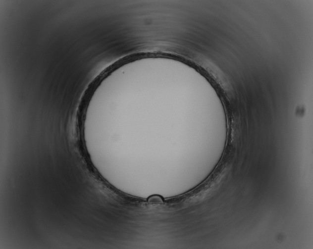 X0000102850876200809081241