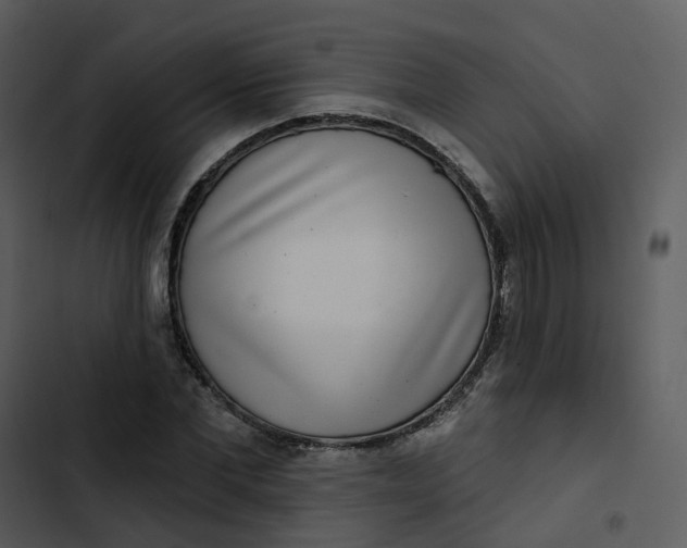 X0000102850877200809081241