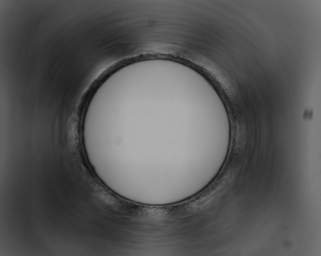 X0000102850878200809081241