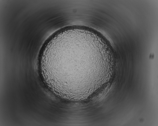 X0000102850879200809081241