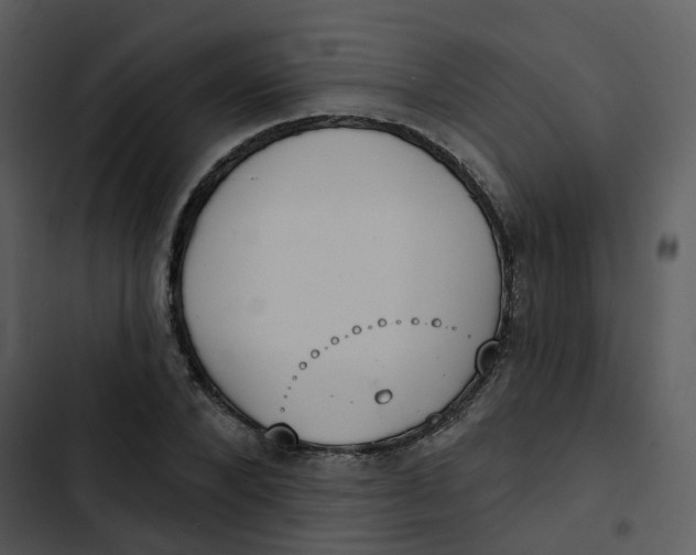 X0000102850880200809081241