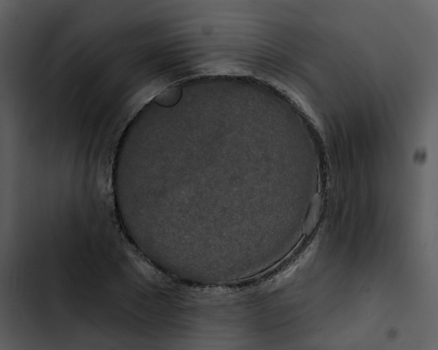 X0000102850881200809081241