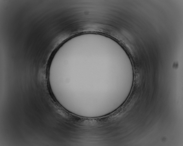 X0000102850882200809081241