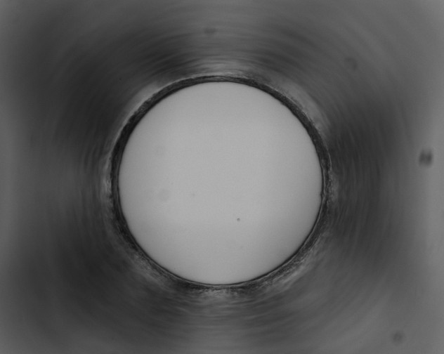 X0000102850883200809081241