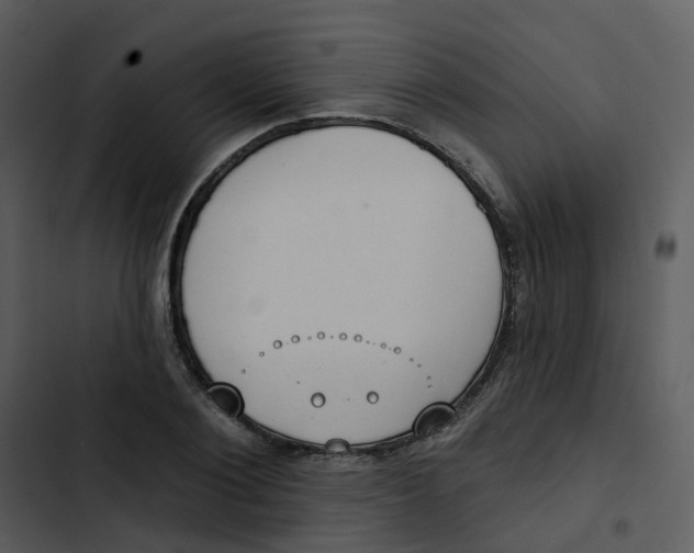 X0000102850884200809081241