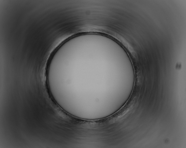 X0000102850885200809081241