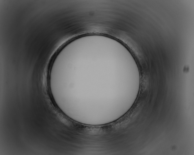 X0000102850886200809081241