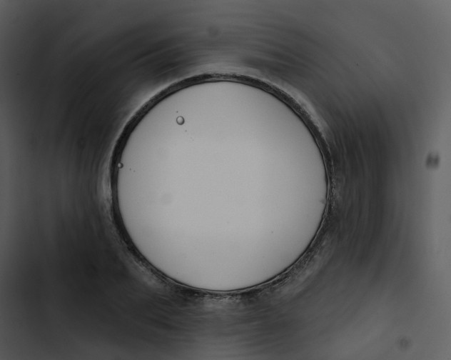 X0000102850887200809081241