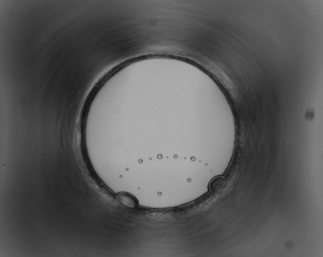 X0000102850888200809081241