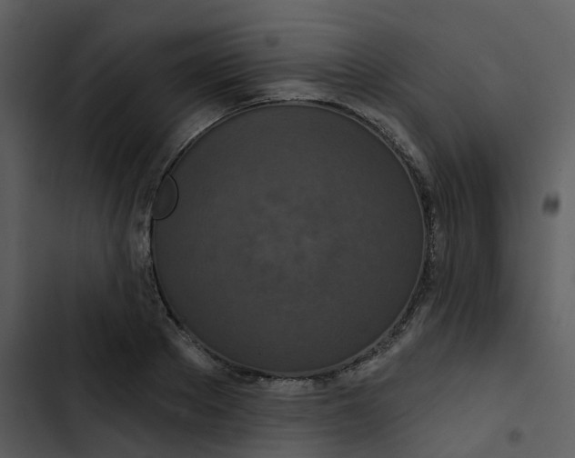 X0000102850889200809081241